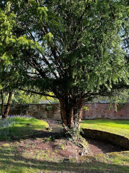 No.2 Beechcroft / Park-side / Ping Pong & Garden * Liverpool